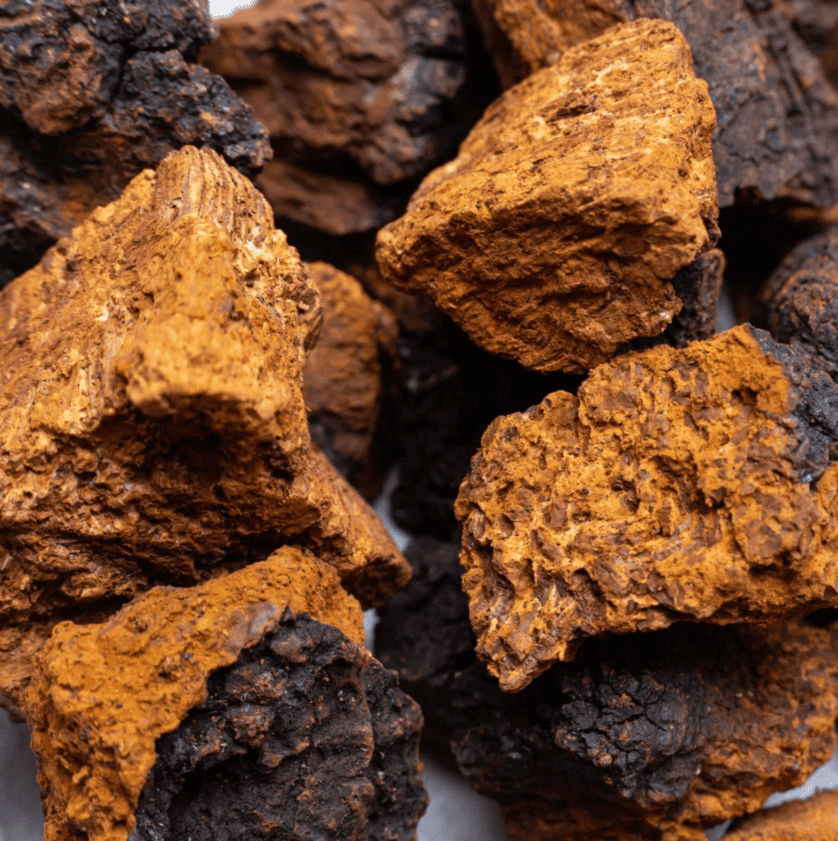 Chaga • 260mg